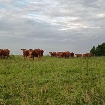 Feriehus La Pause Nature En Perigord Nantheuil