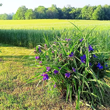 Feriehus La Pause Nature En Perigord